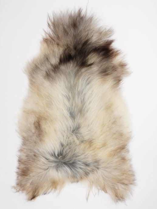 Pilkas islandiškas avikailis XXL