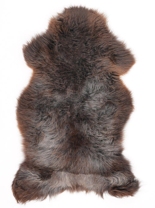 Įvairiaspalvis avikailis M