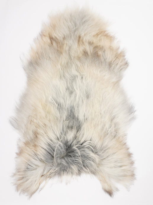 Pilkas islandiškas avikailis XXXL