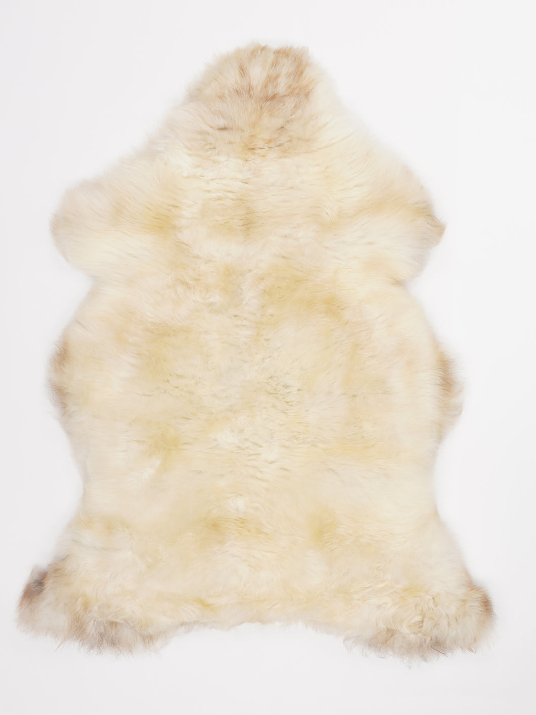 Įvairiaspalvis avikailis L