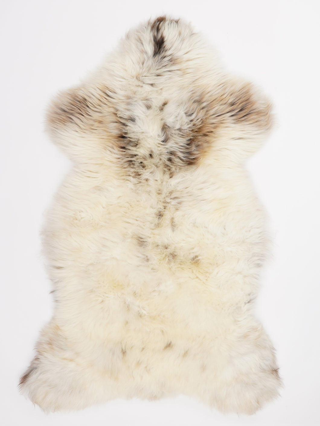 Įvairiaspalvis avikailis L