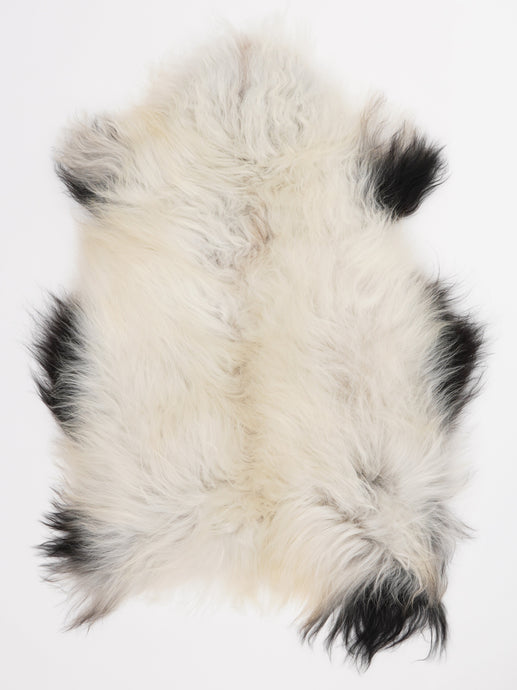 Islandiškas avikailis M