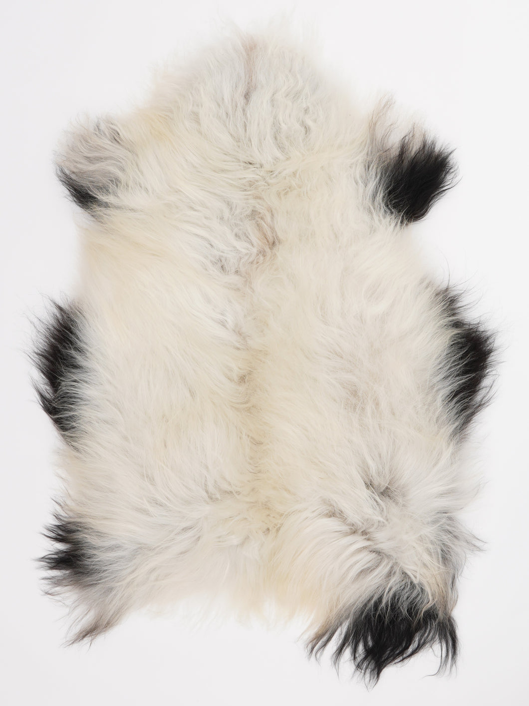 Islandiškas avikailis M