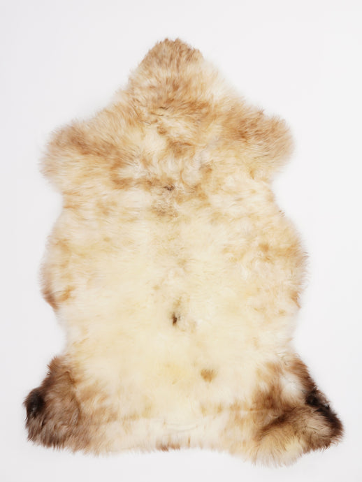 Įvairiaspalvis avikailis L