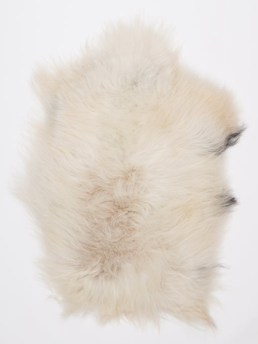 Islandiškas avikailis M