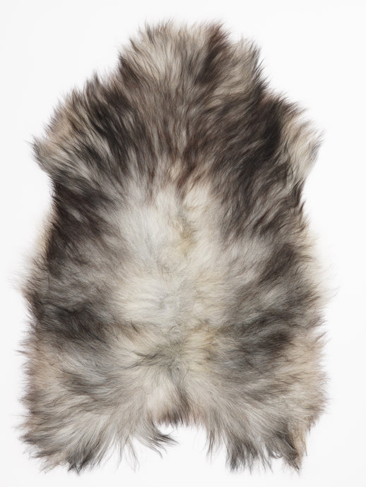 Pilkas islandiškas avikailis L