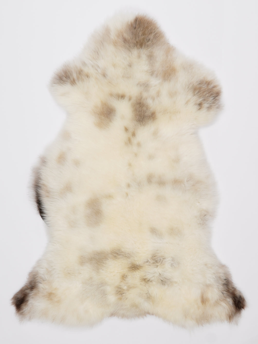 Įvairiaspalvis avikailis L