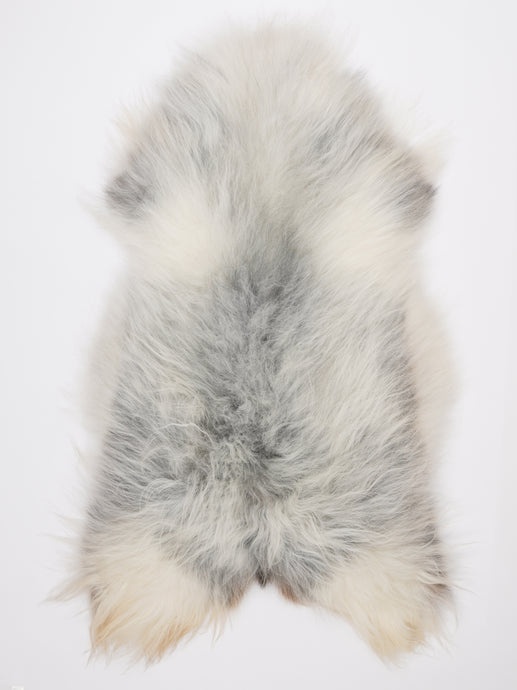 Islandiškas avikailis XXL