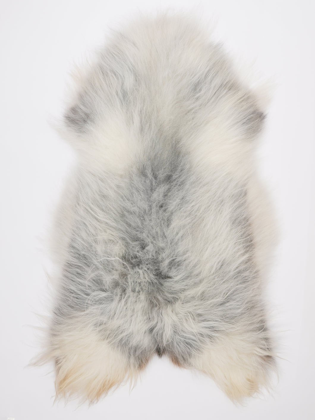 Islandiškas avikailis XXL