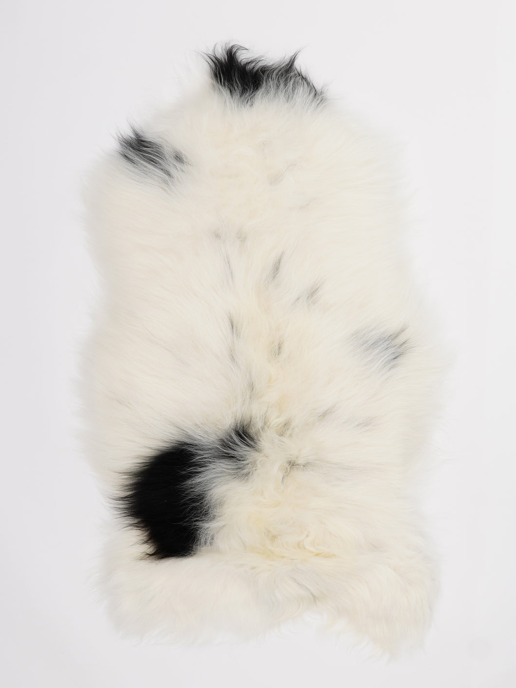 Islandiškas avikailis L