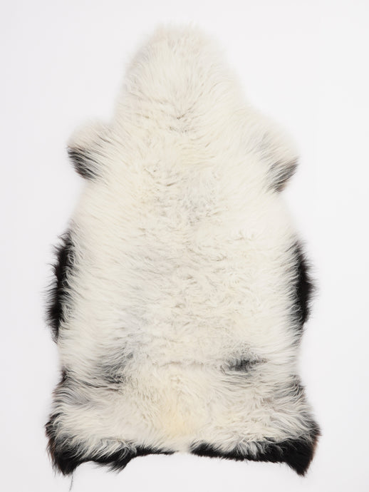 Įvairiaspalvis avikailis L