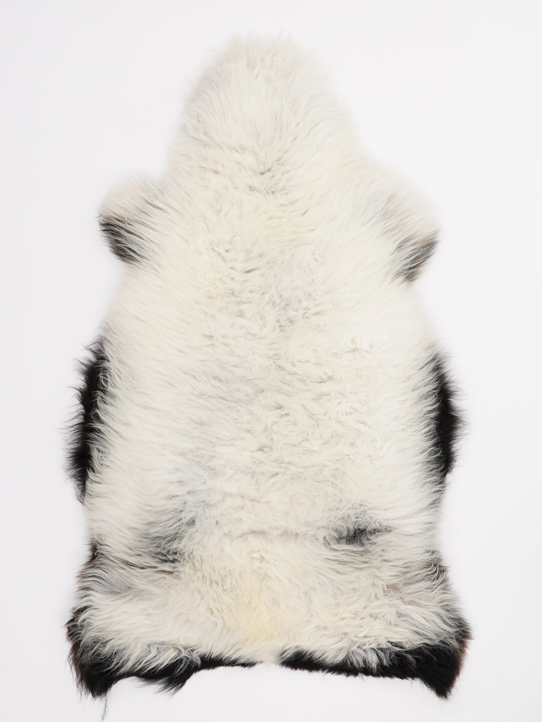 Įvairiaspalvis avikailis L