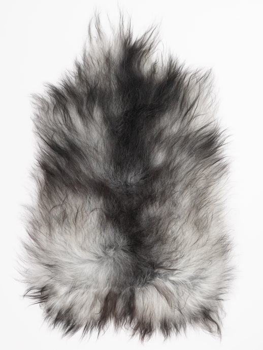 Pilkas islandiškas avikailis M