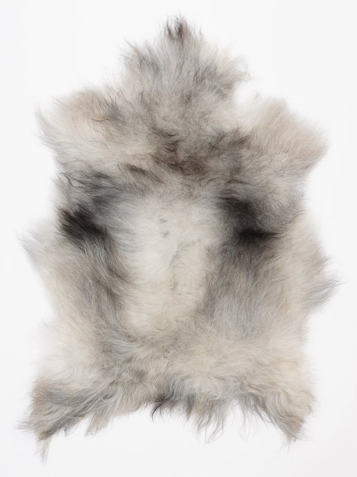 Islandiškas avikailis M