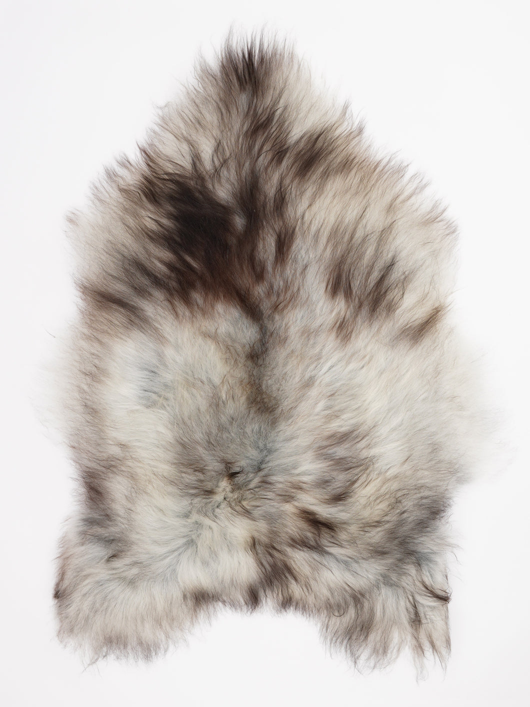 Pilkas islandiškas avikailis XL