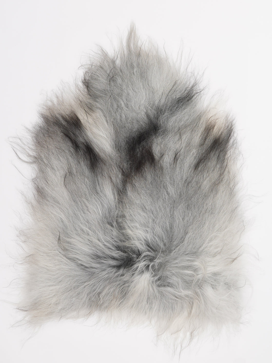 Islandiškas avikailis S