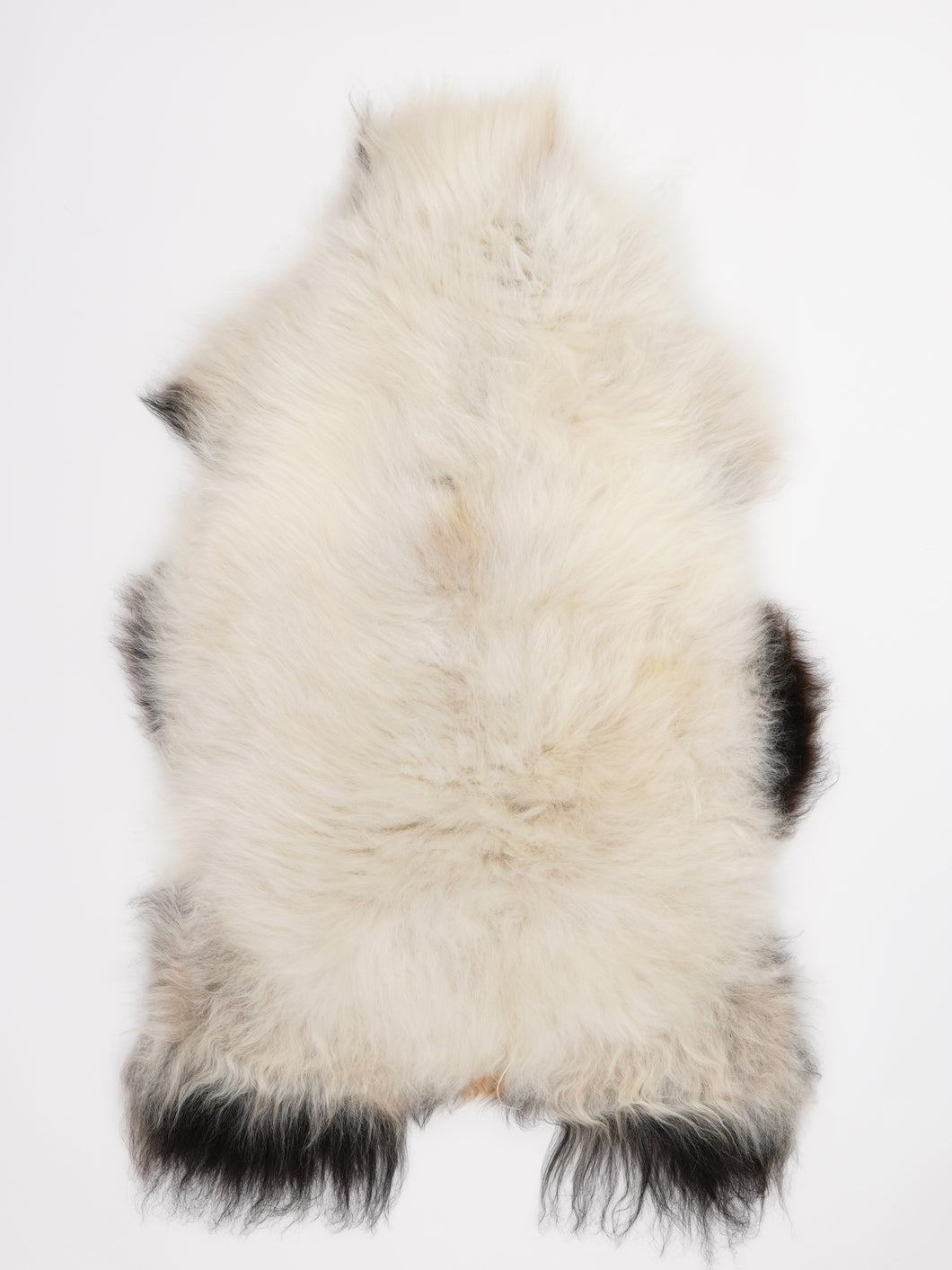 Islandiškas avikailis L