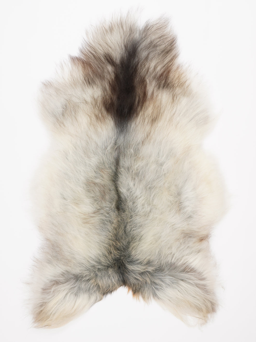 Islandiškas avikailis XL