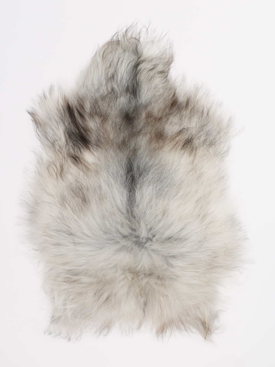 Islandiškas avikailis S