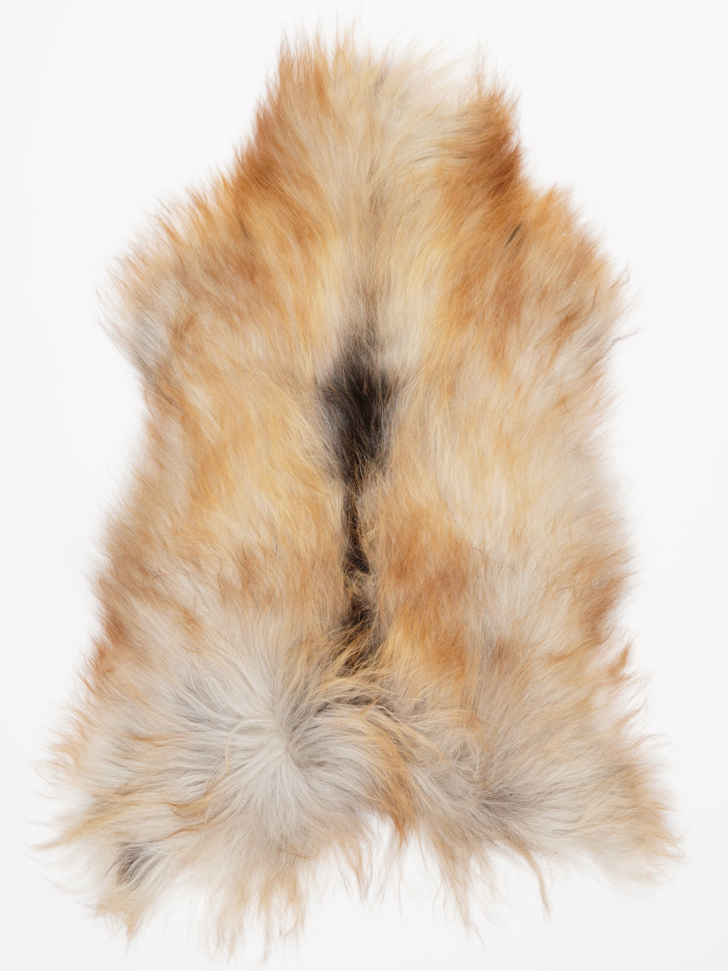 Islandiškas avikailis L