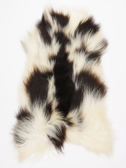 Islandiškas avikailis XXL