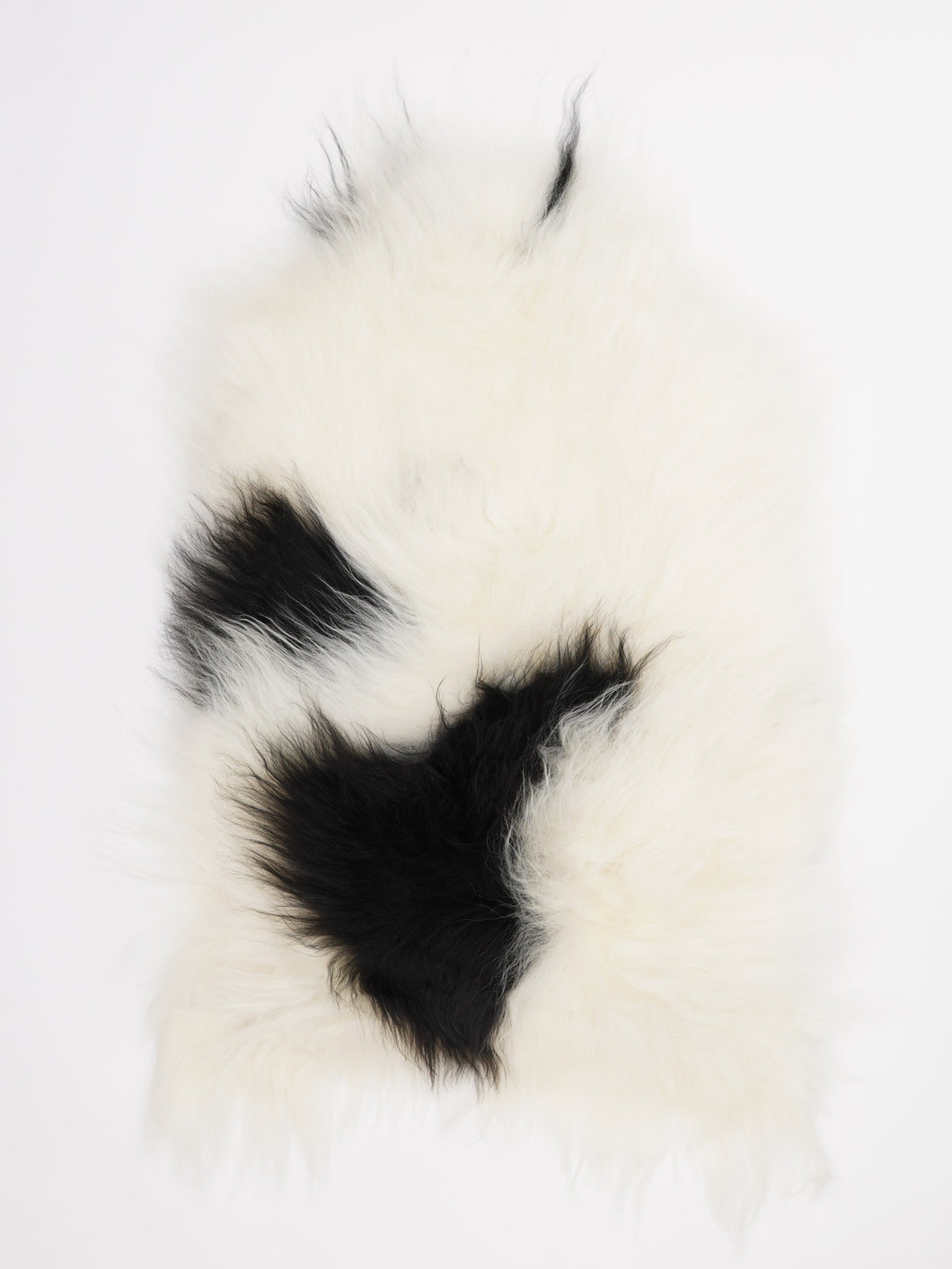 Islandiškas avikailis L