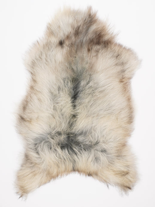 Islandiškas avikailis XL