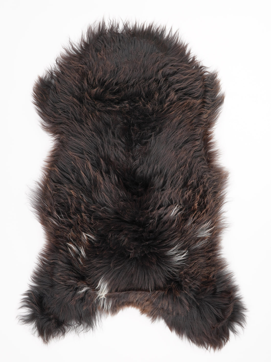 Įvairiaspalvis avikailis XL