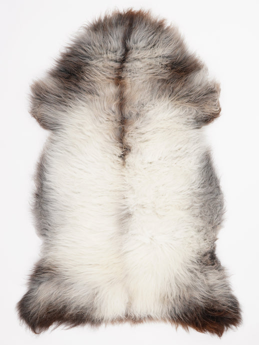 Įvairiaspalvis avikailis XL