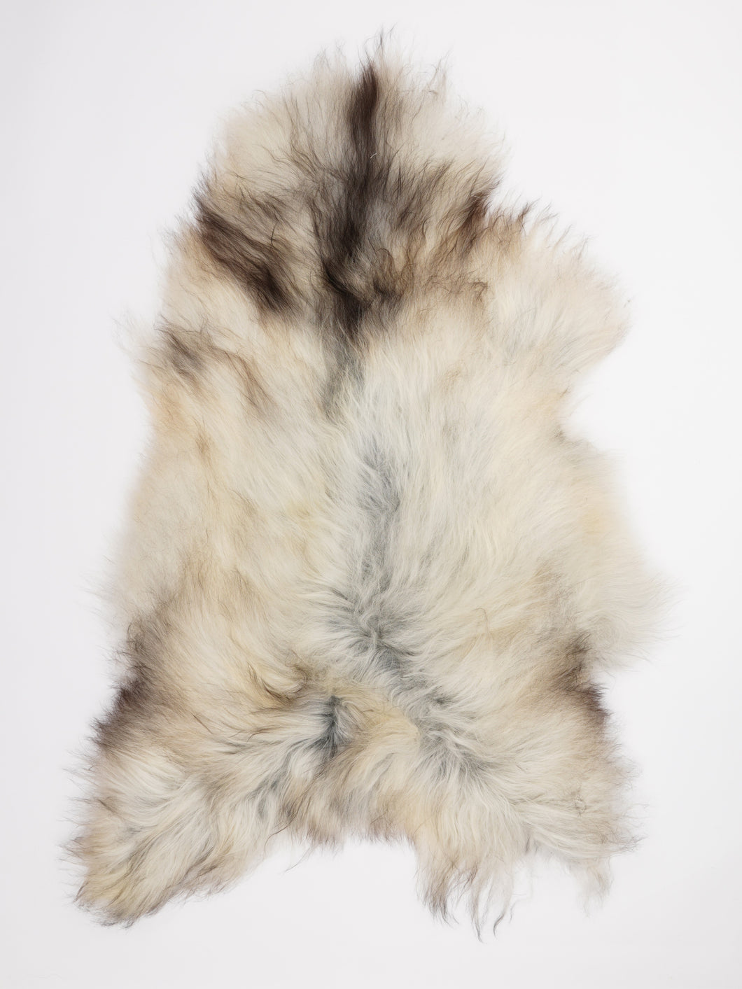 Pilkas islandiškas avikailis XL