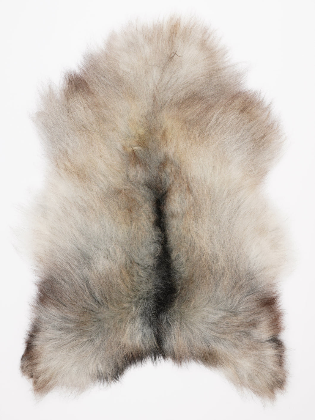 Islandiškas avikailis XL