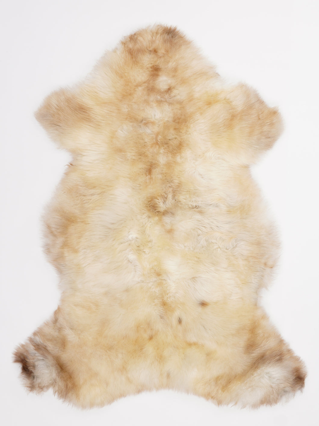 Įvairiaspalvis avikailis L