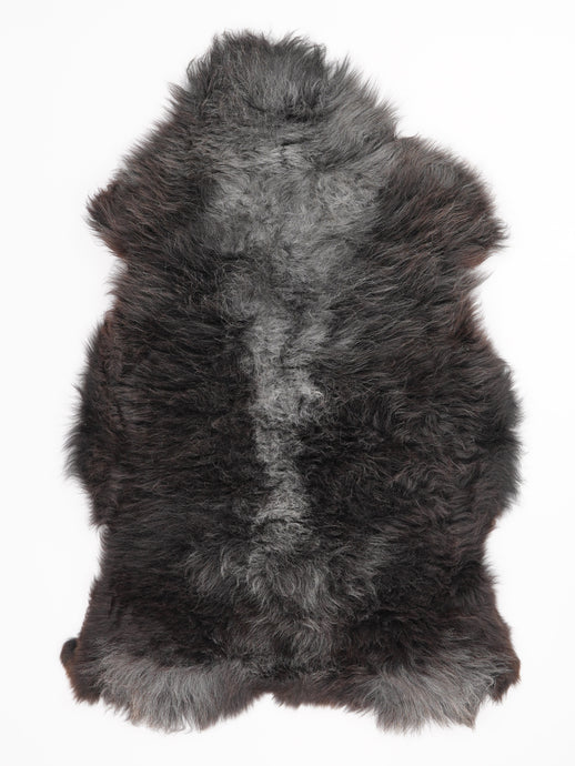 Įvairiaspalvis avikailis XL