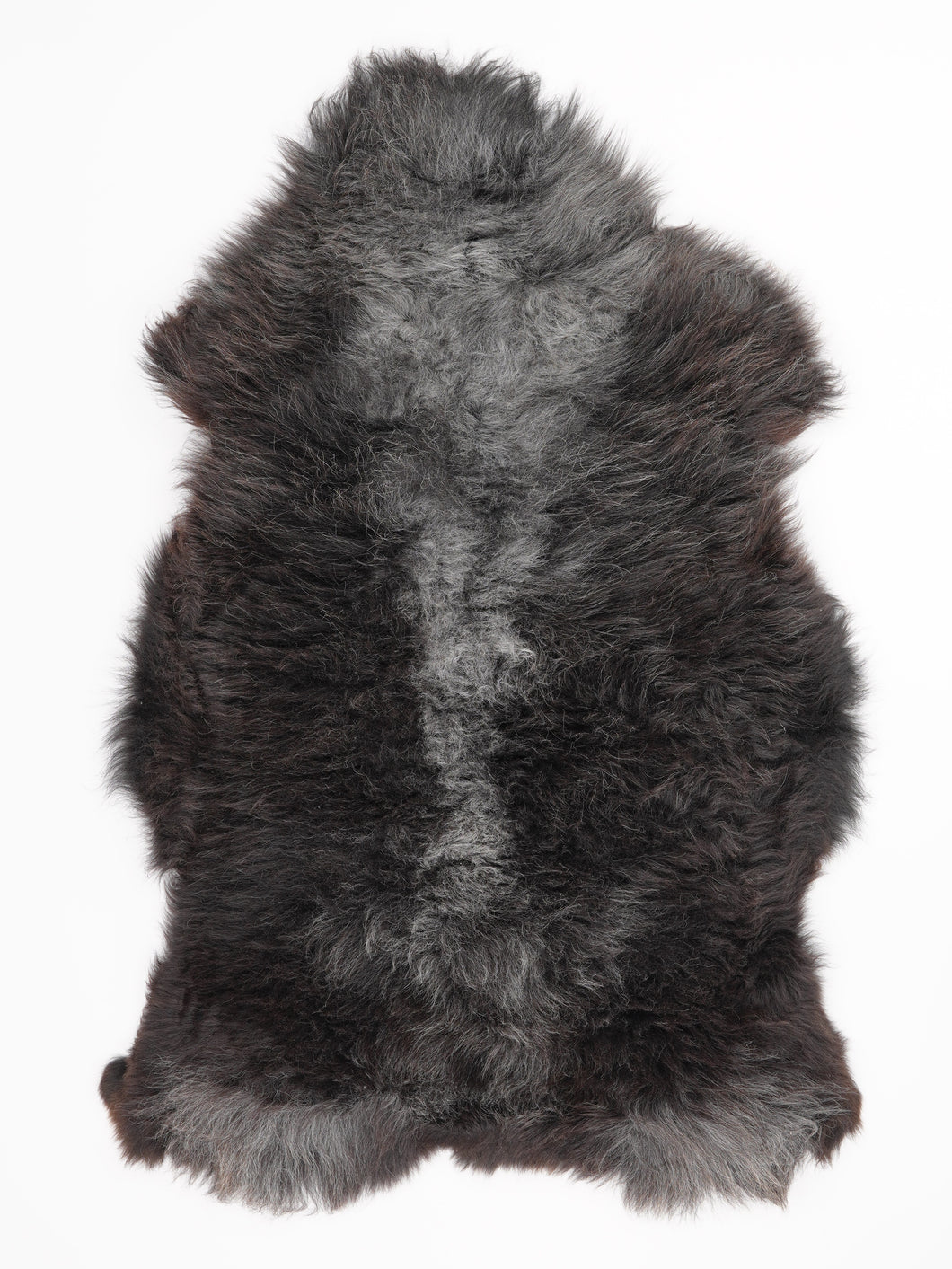 Įvairiaspalvis avikailis XL