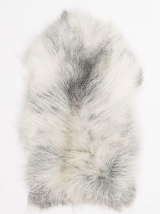 Islandiškas avikailis M