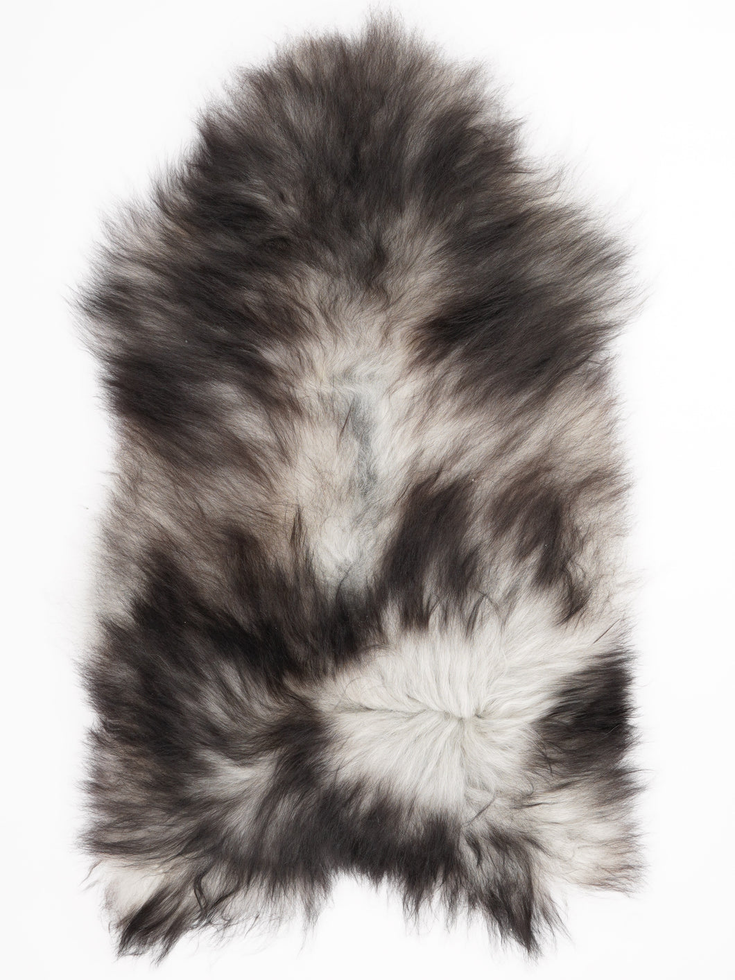 Pilkas islandiškas avikailis XL