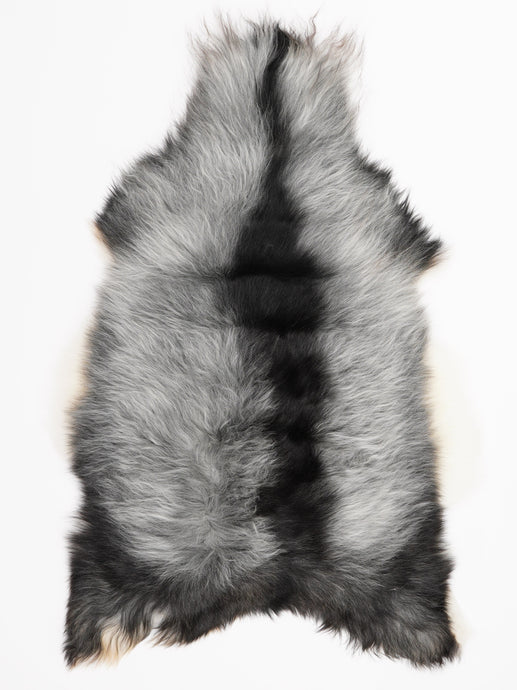 Islandiškas avikailis L