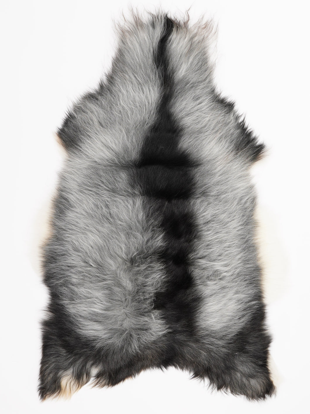 Islandiškas avikailis L