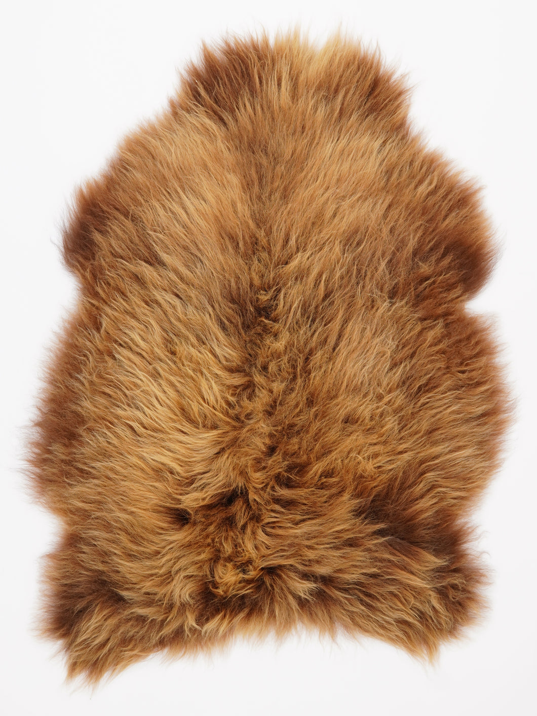 B klasės islandiškas avikailis L