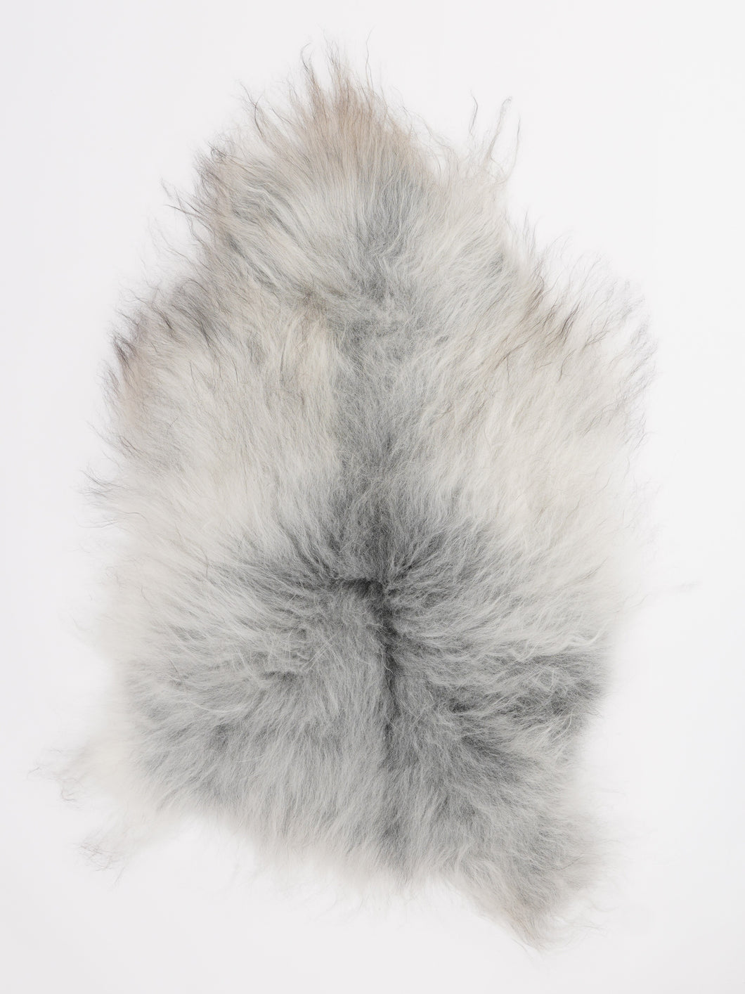 Islandiškas avikailis M