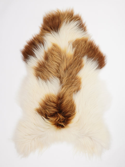 Islandiškas avikailis XXL