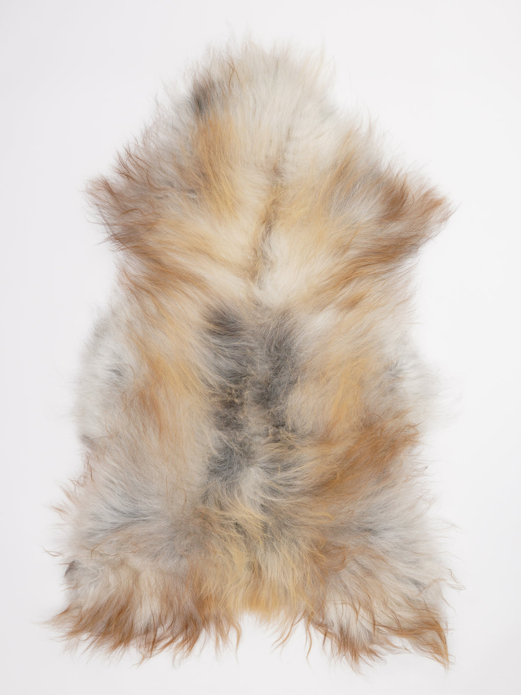 Islandiškas avikailis XXL