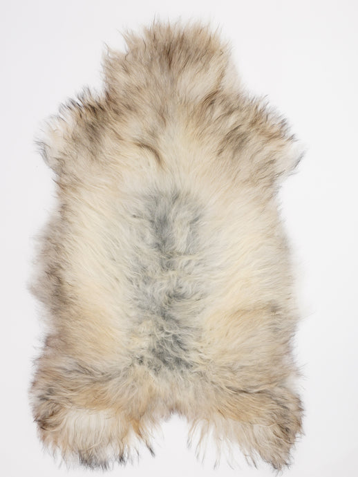 Islandiškas avikailis XL