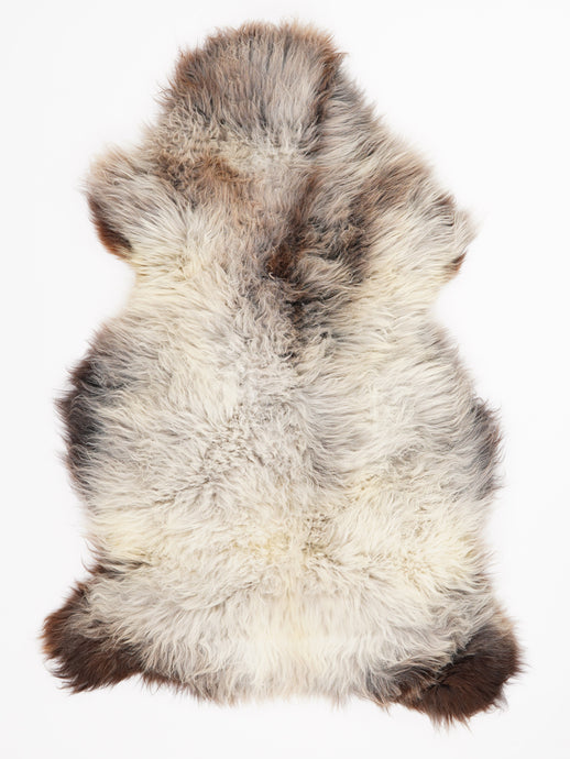 Įvairiaspalvis avikailis XL