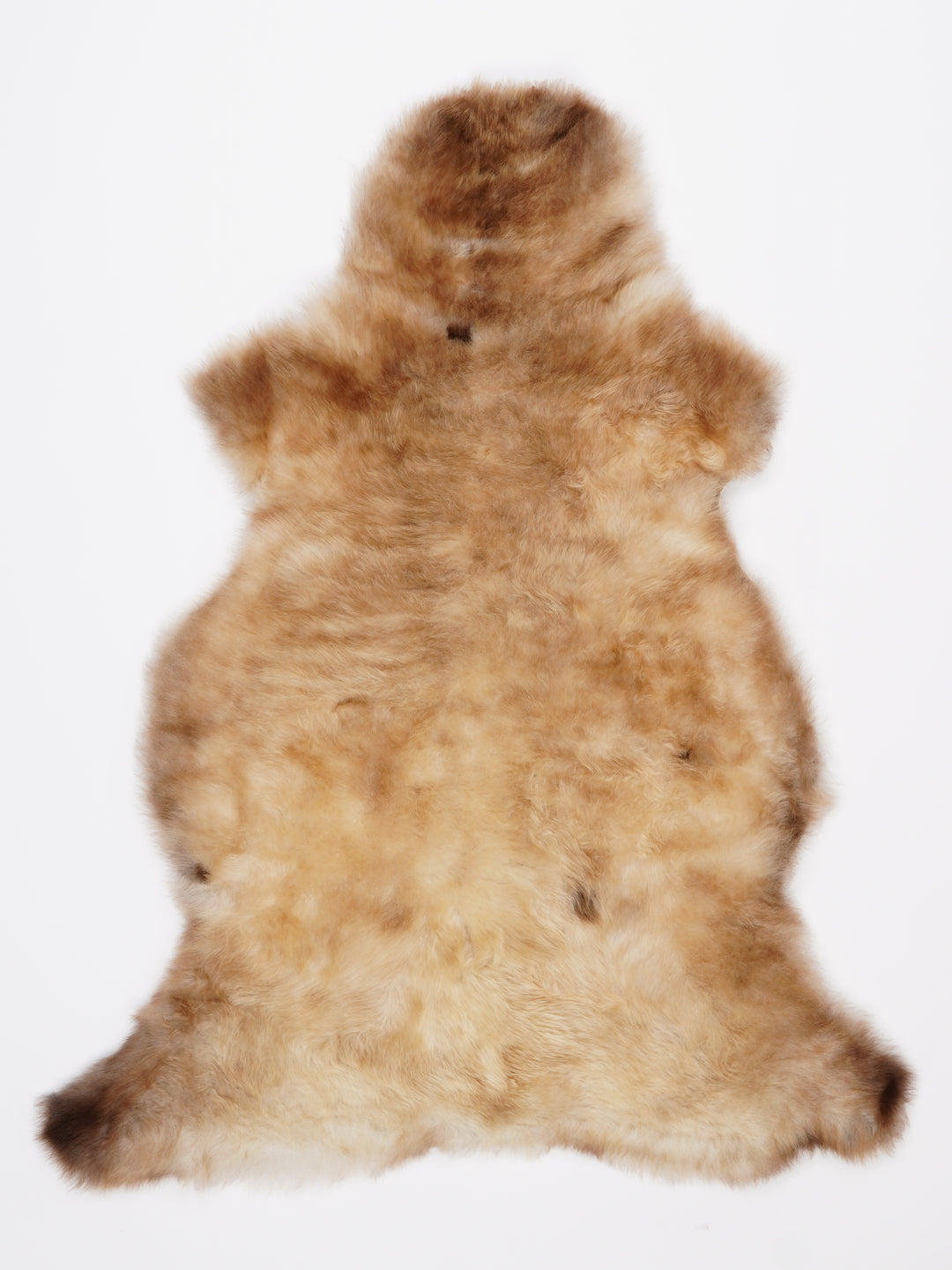 Įvairiaspalvis avikailis M