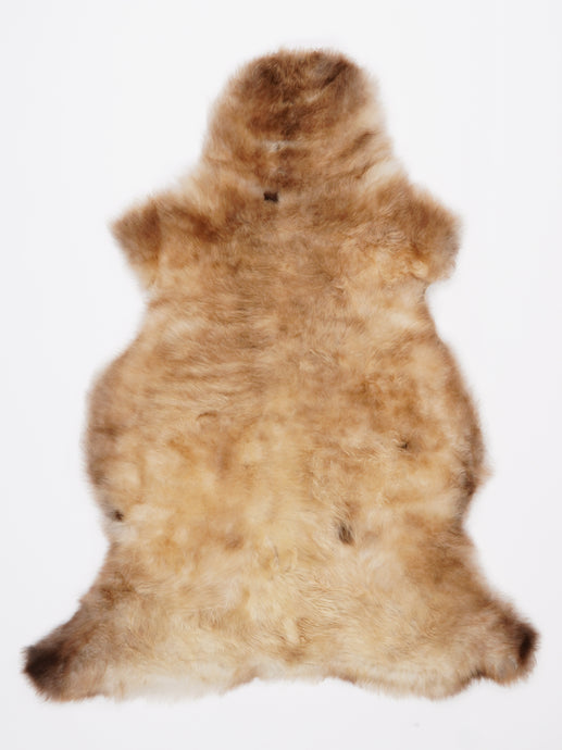 Įvairiaspalvis avikailis M