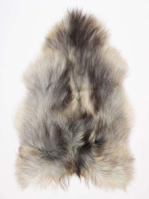 Islandiškas avikailis XXL