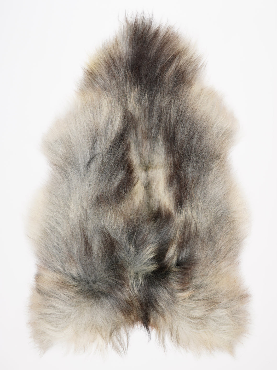 Islandiškas avikailis XXL