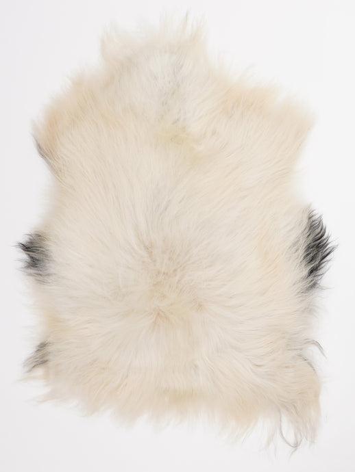 Islandiškas avikailis L