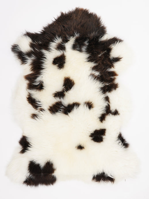 Įvairiaspalvis avikailis L